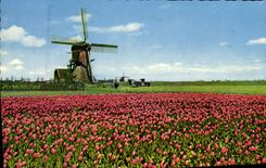 MODERN CARD Holland In Bloementooi