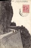 VINTAGE POSTCARD Road De Vintimille Seen from Of the Bridge Saint Louis