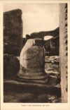 VINTAGE POSTCARD Ostia Macaw Marmorea Dei Lari