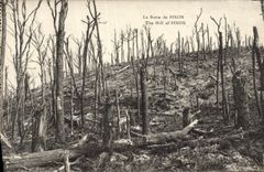 VINTAGE POSTCARD Butie De Pinon Militaria