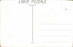 Opinión panorámica de Constantinople de la POSTAL de la VENDIMIA de la señal Hane y el Bosphorus