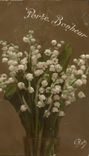 CPA Fantaisie Fleurs Muguet