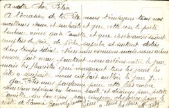 CPA Fantaisie Fleurs Rose