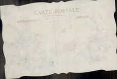 VINTAGE POSTCARD Fantasy Poisson Flowers (transparent chart drawing with the hand)