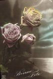 CPA Fantaisie Fleurs Roses