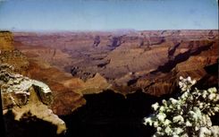 MODERN CARD Large National Canyon park Arizona