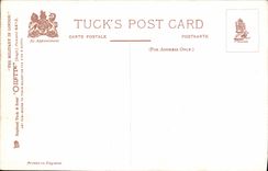 VINTAGE POSTCARD Mounting Guard At Whitehall Militaria Horse