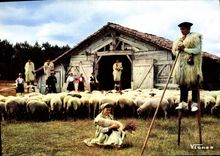 MODERN CARD Face Of the Moors pastoral Scene with Lous Becuts de Countis Folklore Sheep