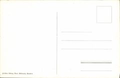 CPA Le Mont Blanc vu du Jardin