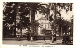 CPA Nice Jardins Gambetta Les Palmiers 