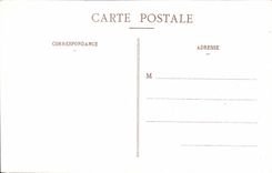 CPA Nice Jardins Gambetta Les Palmiers 