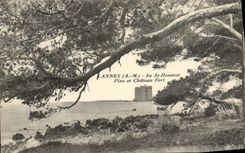 CPA Cannes Ile St Honorat Pins et chateau fort