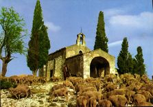 CPM En Provence Symphonie Pastorale Agneaux Moutons