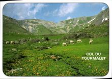 MODERN CARD Collar Of Tourmalet rise in the pastures since Bareges