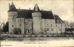 Castillo de Pellevoisin de la POSTAL de la VENDIMIA de Mee