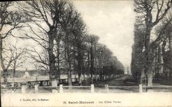 VINTAGE POSTCARD Holy Maixent Green Alleys