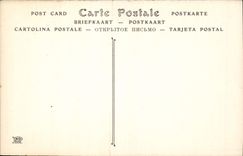 Detalle de Chartres de la POSTAL de la VENDIMIA del encierro del estribillo