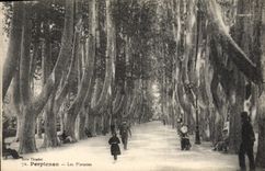 CPA Perpignan Les Platanes