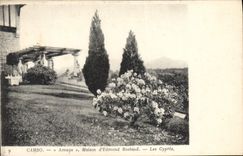 VINTAGE POSTCARD Cambo Arnaga House Of Edmond Rostand cypresses