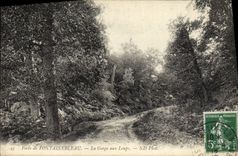VINTAGE POSTCARD Drill De Fontainebleau the Throat With the Wolves