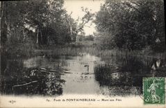 CPA Foret De Fontainebleau Mare Aux Fees