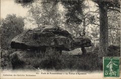CPA Foret de Fontainebleau La Tortue d'Apremont