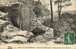 CPA Foret de Fontainebleau Sentier des Mastodontes Promenade de la Tour Denecourt