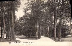 CPA Vittel Une Allee du Parc