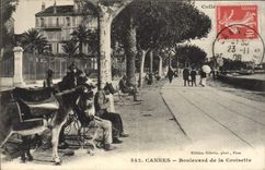 VINTAGE POSTCARD Cannes Boulevard of the Small cross Asses Mules