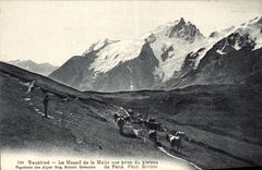 VINTAGE POSTCARD Dauphine Solid mass of Meije Seen from of the Plate