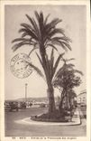 CPA Nice Entree de la Promenade des Anglais