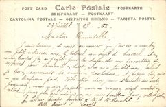 VINTAGE POSTCARD St Brieuc Details of trees