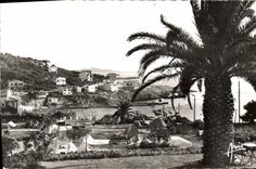 MODERN CARD Sanary Port Issol Camp-site