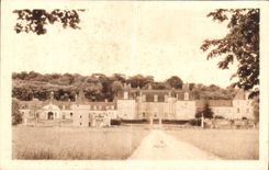 VINTAGE POSTCARD Gizeux the castle