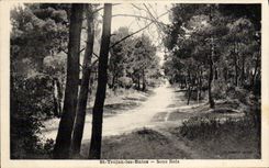 VINTAGE POSTCARD St Trojan les Bains Under Wood