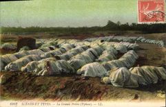 VINTAGE POSTCARD Scenes And Types the Great prayer Islam