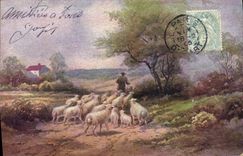 CPA Fantaisie Moutons