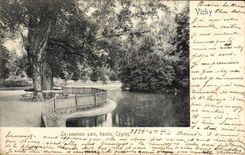 VINTAGE POSTCARD Vichy the New Park Basin Swans