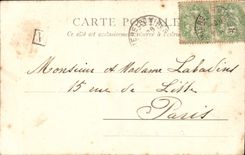 CPA Vichy Le Nouveau Parc Bassin Cygnes 