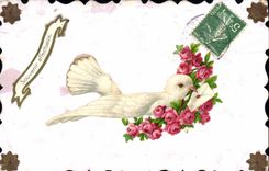 VINTAGE POSTCARD Fantasy Dove Flowers