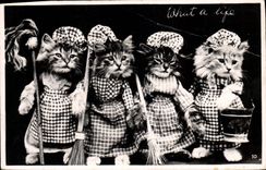 CPA Fantaisie Chat Chats 