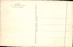 Mezquita del turco de Jerba de la POSTAL de la VENDIMIA