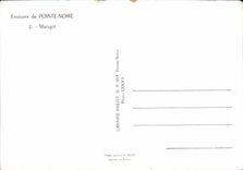 MODERN CARD Surroundings Of Black Point Backwater