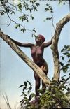 CPM L'Afrique En Couleurs La joie de vivre