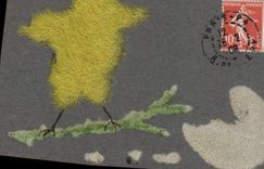 VINTAGE POSTCARD Fantasy Chick