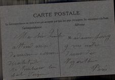 VINTAGE POSTCARD Fantasy Chick