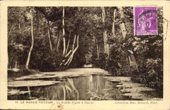 CPA Le Marais Poitevin La Grande Rigole A Coulon