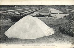 VINTAGE POSTCARD Sables d'Olonne Salt-water Marshes