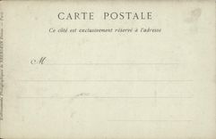 Panorama de la POSTAL de la VENDIMIA de Niza vista entre los Aceituna-árboles