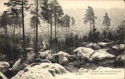 VINTAGE POSTCARD Port De Fontainebleau Entree Of Serves of Apremont